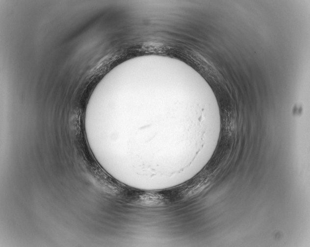 X0000093620603200711051240