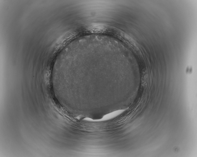 X0000093620604200711051240