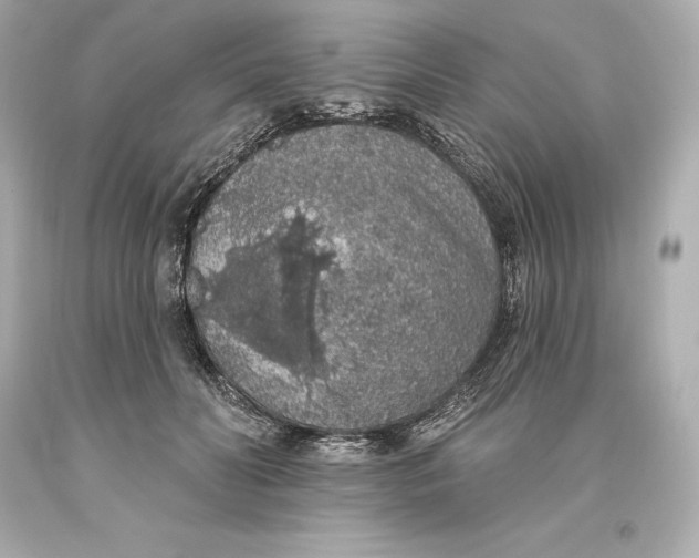 X0000093620606200711051240