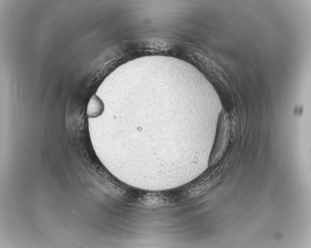 X0000093620608200711051240