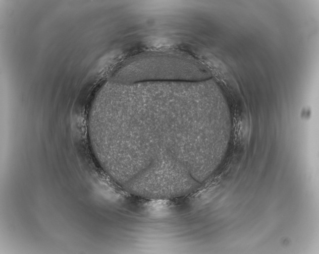 X0000093620609200711051240