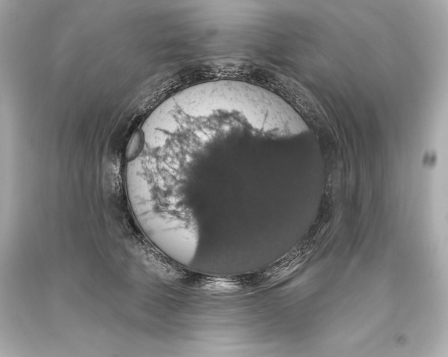 X0000093620610200711051240