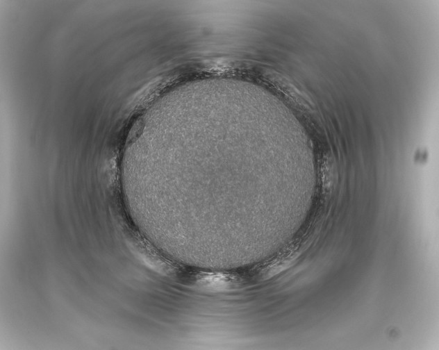 X0000093620611200711051240