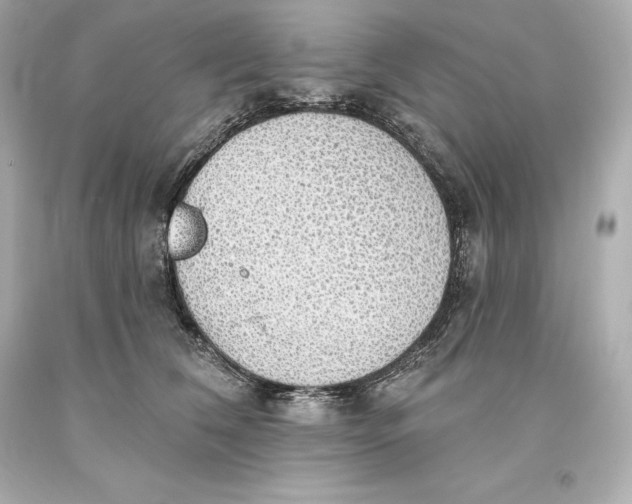 X0000093620612200711051240