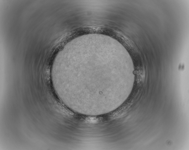 X0000093620613200711051240