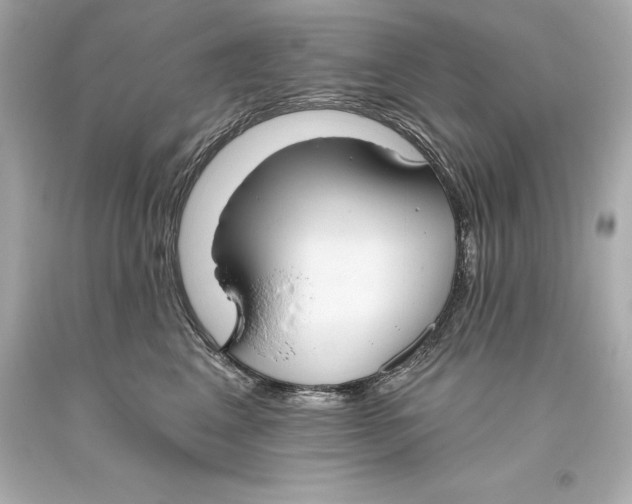 X0000093620617200711051240