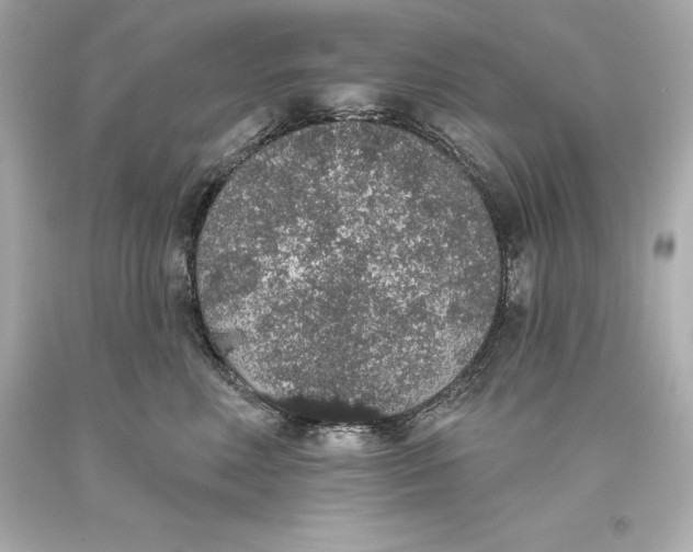 X0000093620618200711051240