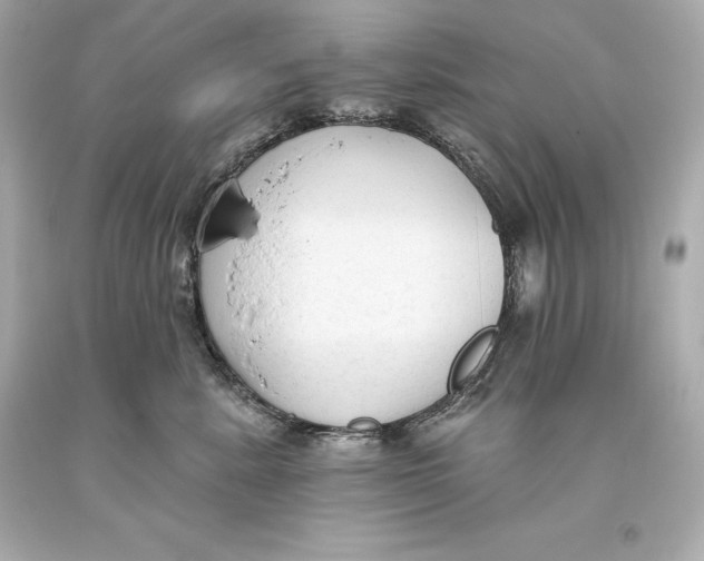 X0000093620619200711051240