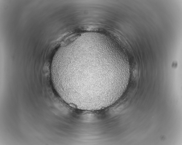 X0000093620620200711051240