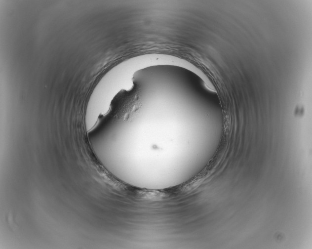 X0000093620621200711051240