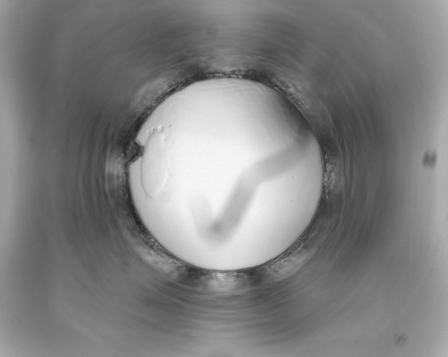 X0000093620623200711051240