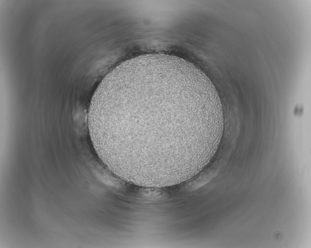 X0000093620624200711051240