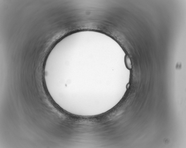 X0000093620625200711051239