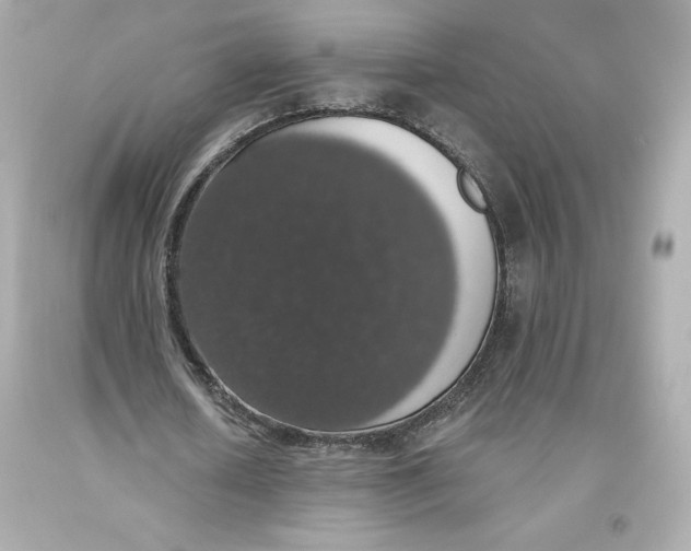 X0000093620626200711051239