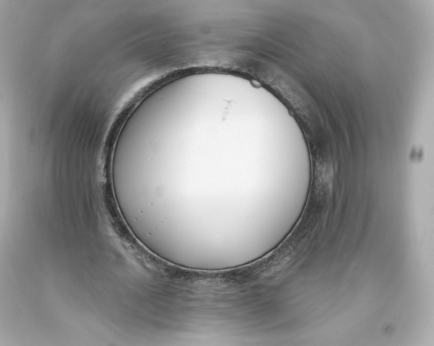 X0000093620628200711051239