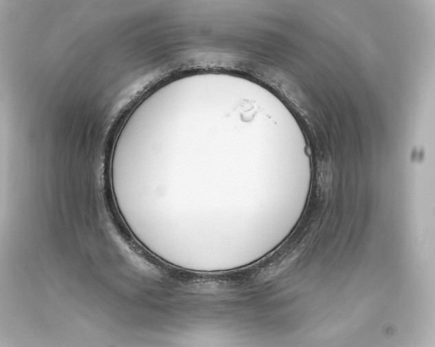 X0000093620629200711051239