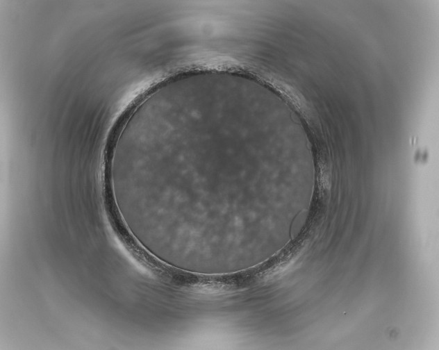 X0000093620630200711051239