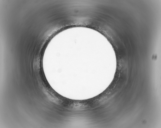 X0000093620632200711051240