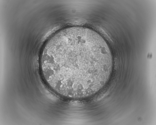 X0000093620634200711051240