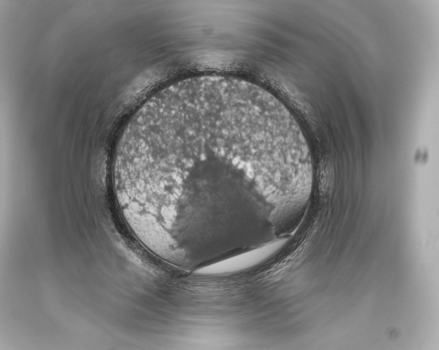 X0000093620637200711051240