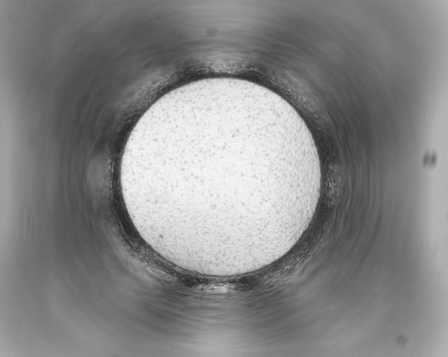 X0000093620639200711051240