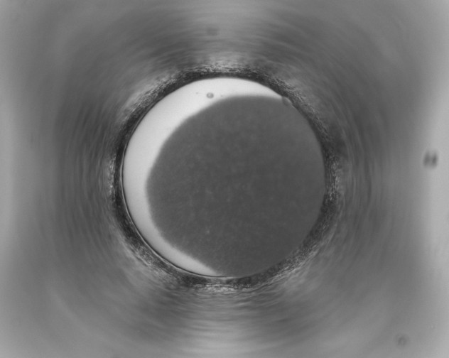 X0000093620640200711051240