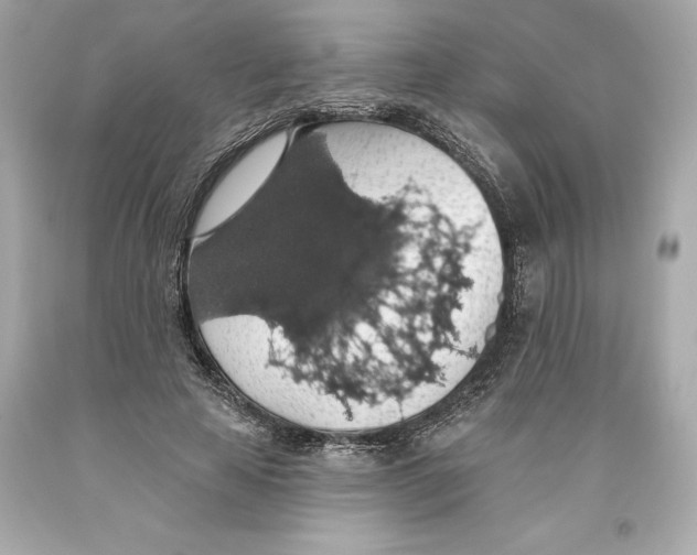 X0000093620641200711051240