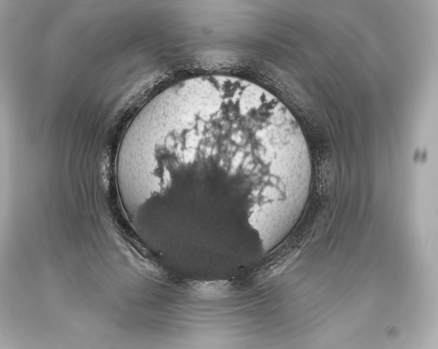 X0000093620644200711051240