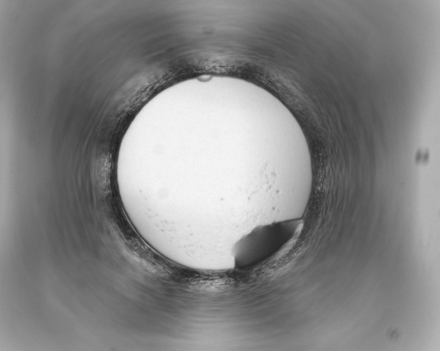 X0000093620646200711051240