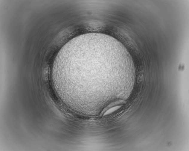 X0000093620647200711051240