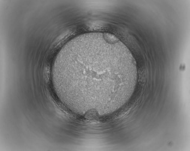 X0000093620648200711051240