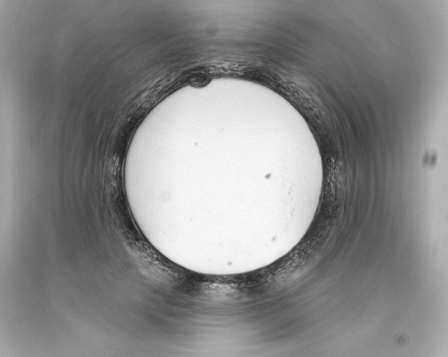 X0000093620649200711051240