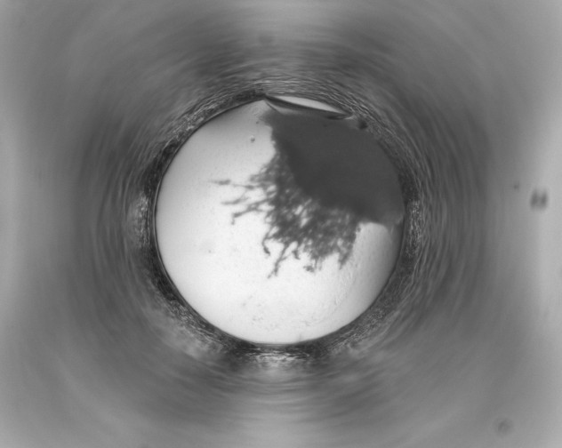 X0000093620650200711051240