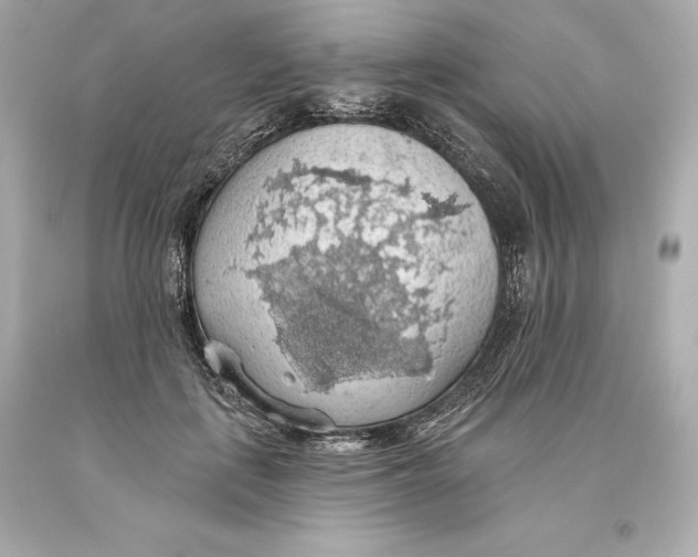 X0000093620651200711051240