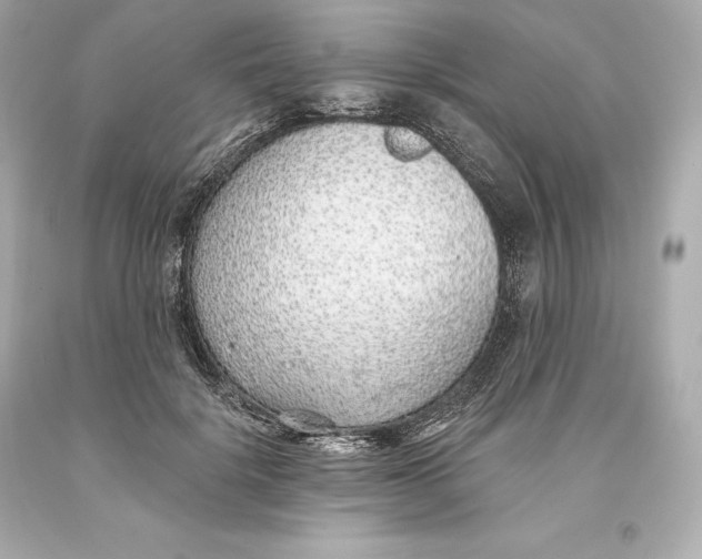 X0000093620652200711051240