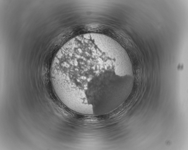 X0000093620653200711051240