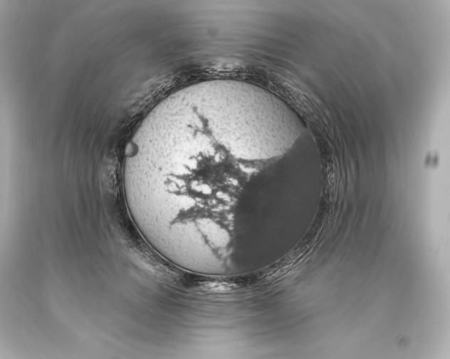 X0000093620654200711051240