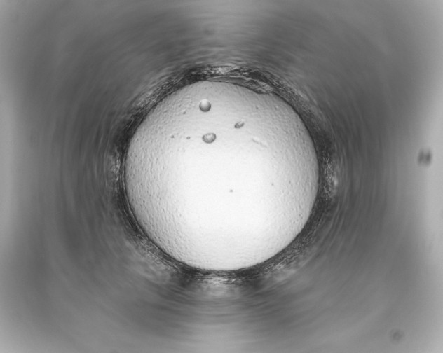 X0000093620657200711051240