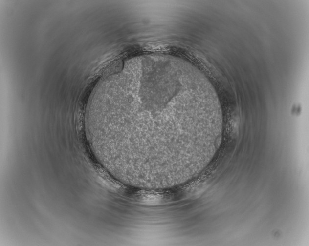 X0000093620658200711051240