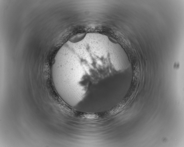 X0000093620659200711051240