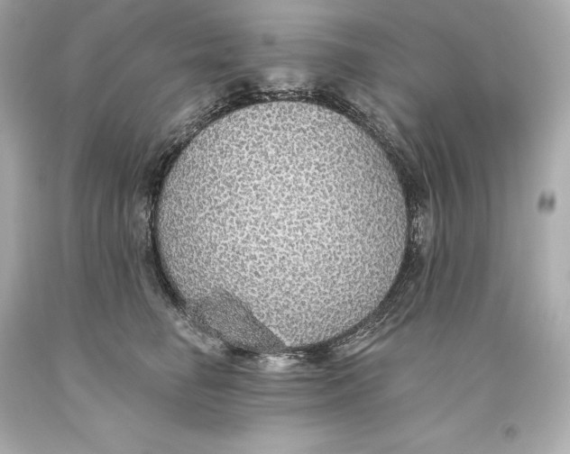 X0000093620662200711051240