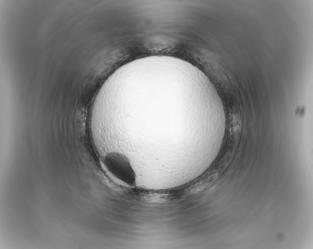 X0000093620664200711051240