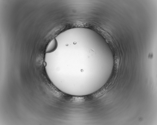 X0000093620665200711051240