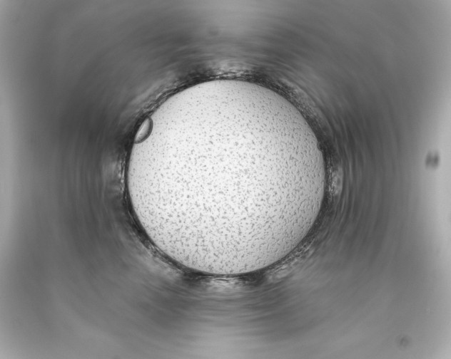 X0000093620666200711051240