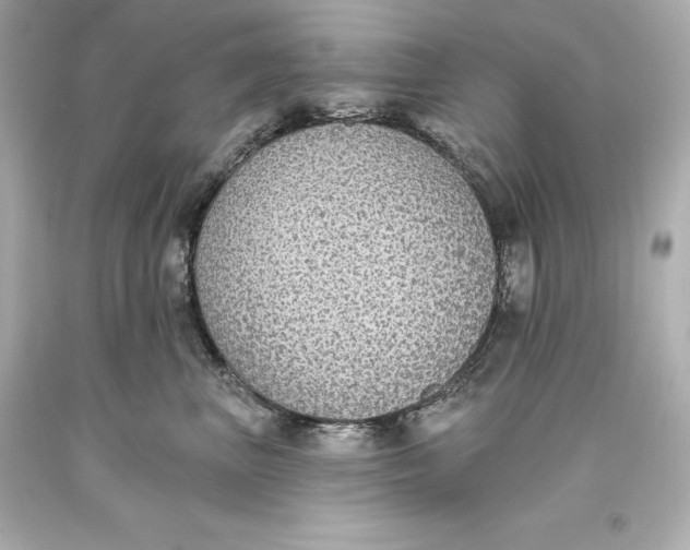 X0000093620667200711051240