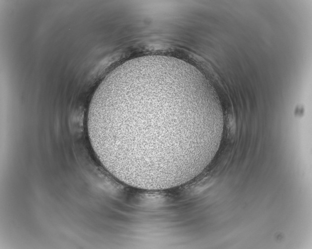 X0000093620668200711051240