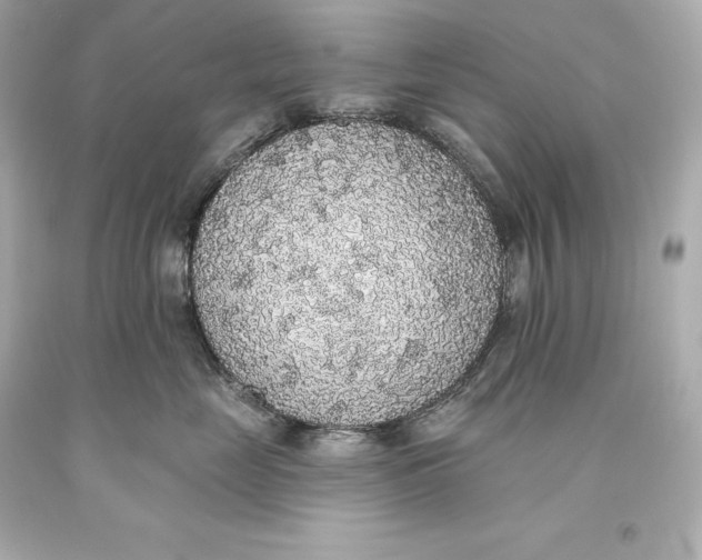 X0000093620669200711051240