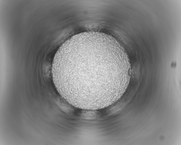 X0000093620671200711051240