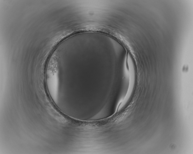 X0000093620673200711051239