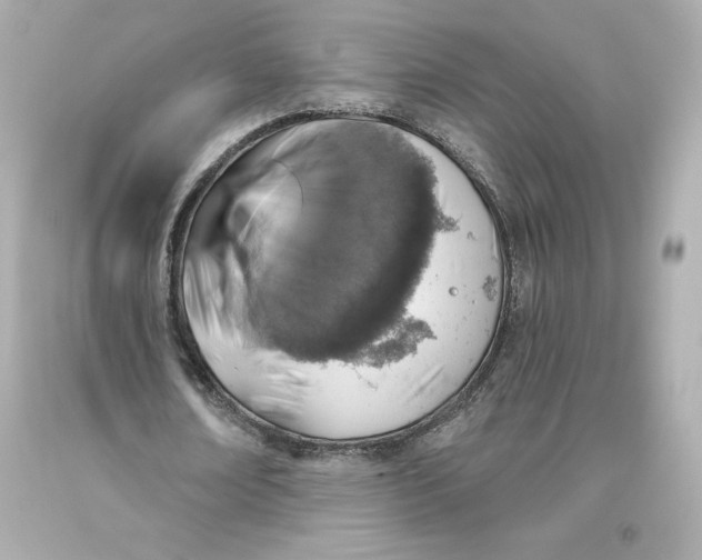 X0000093620674200711051239